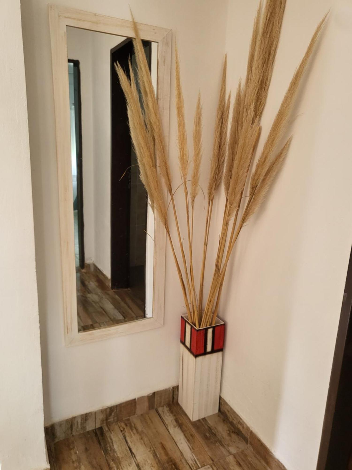 Mini 1 Apartamento Veronica